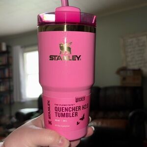 COPY - Wicked (Glenda) Themed Stanley 20oz cup